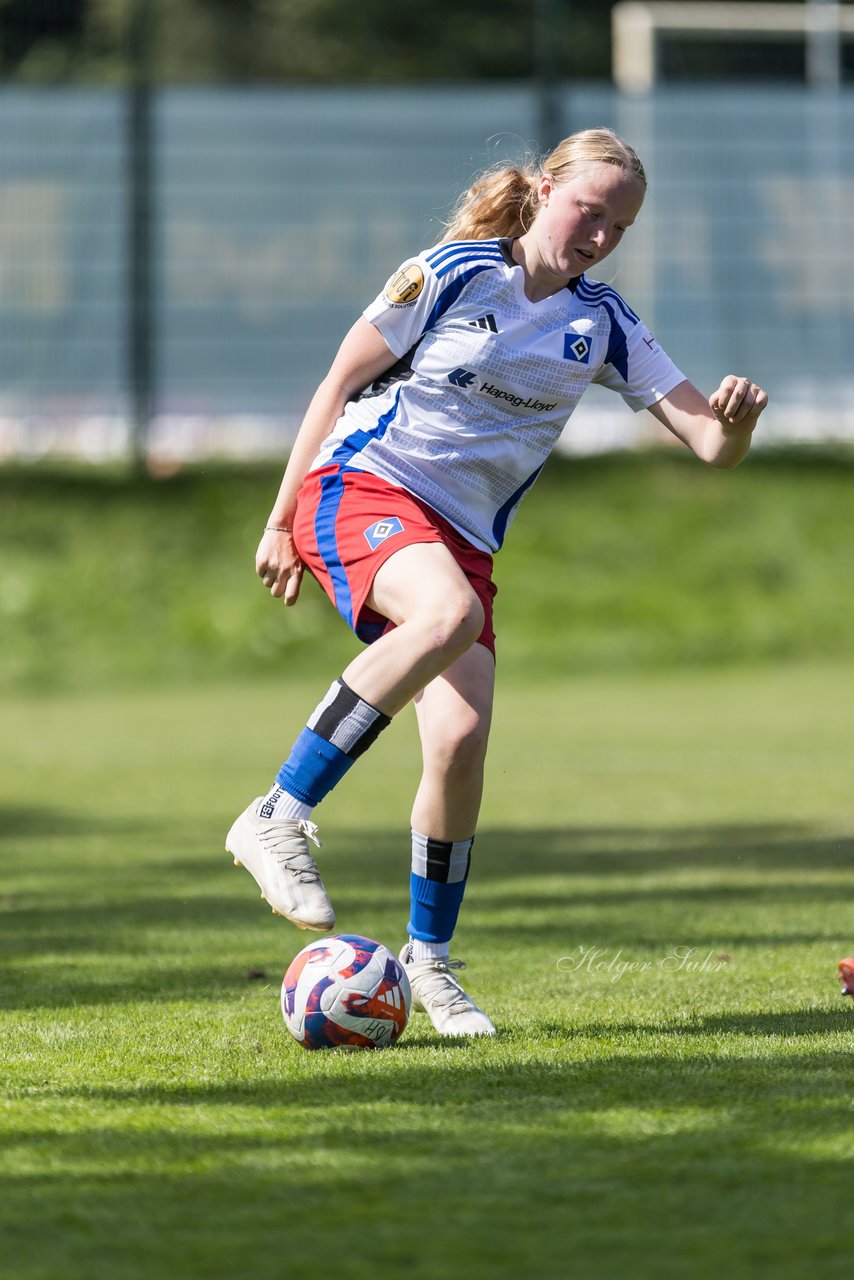 Bild 321 - wBJ Hamburger SV - VfL Wolfsburg : Ergebnis: 5:1